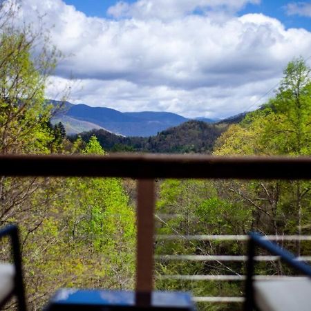 Family Cabin Near Smoky Mtn Entrance Nantahala Robbinsville Εξωτερικό φωτογραφία