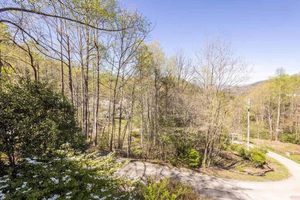 Family Cabin Near Smoky Mtn Entrance Nantahala Robbinsville Εξωτερικό φωτογραφία